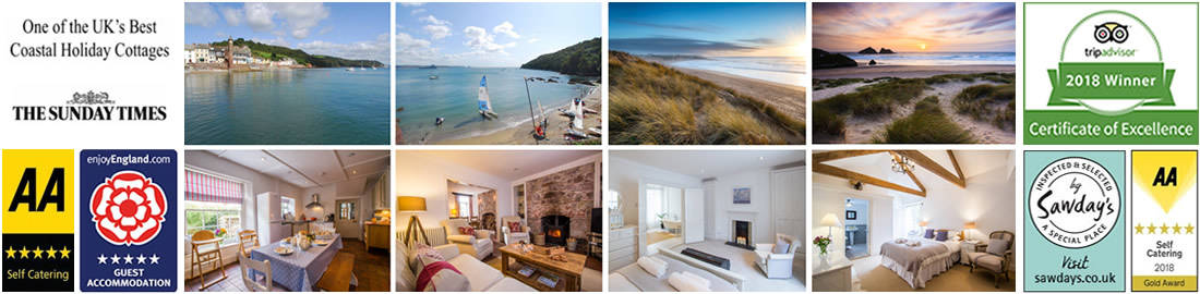 BlueMonkeyCornwall Awards