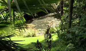 Lost Gardens of Heligan