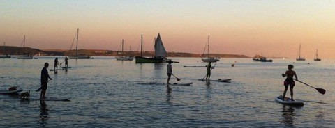 Paddle Boards Crop2