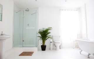 Shower and free standing bath | Blue Monkey Cornwall