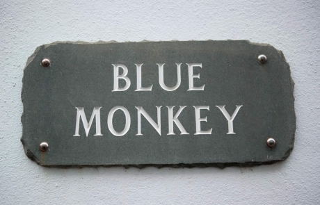 Blue Monkey Sign
