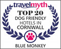 best dog friendly hotels in Cornwall