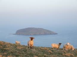 Looe Island