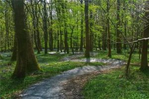 Pram Friendly Walks in Cornwall