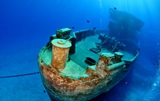 Artificial Reef