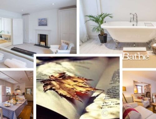 The Cawsand Hotel