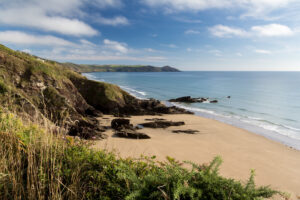 Sharrow point, dog friendly beach