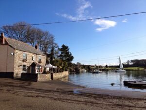 Wilcove Dog Friendly Beach