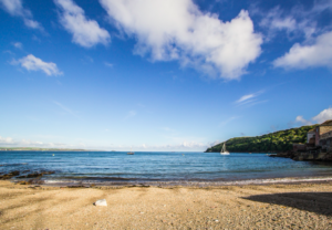 Cawsand dog friendly beach