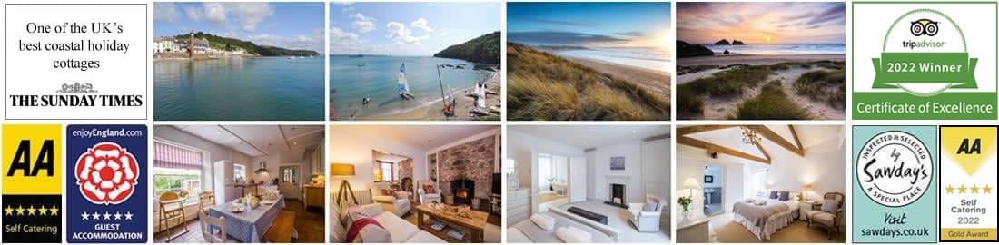 Blue Monkey Cornwall Awards