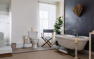 blue-monkey-cornwall