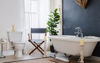 blue-monkey-cornwall