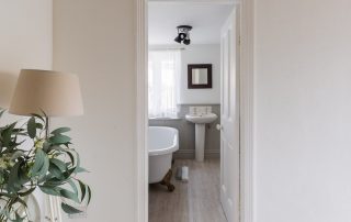 blue-monkey-cornwall