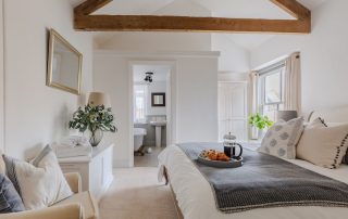 blue-monkey-cornwall