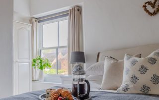 blue-monkey-cornwall