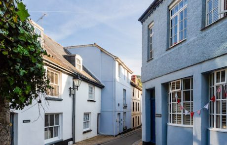 Backgarden | Blue Monkey Cornwall