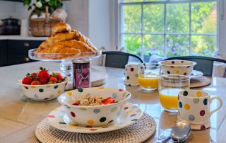 blue-monkey-cornwall