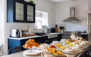 blue-monkey-cornwall