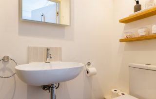 Blue-Monkey-cornwall